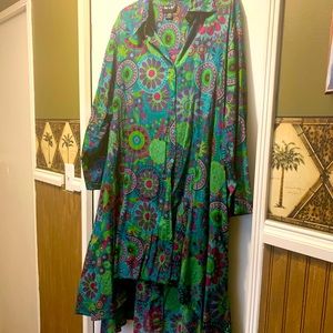 Step in Style long shirt dress